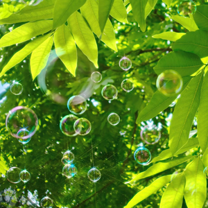 色欲第一会所 magnet
